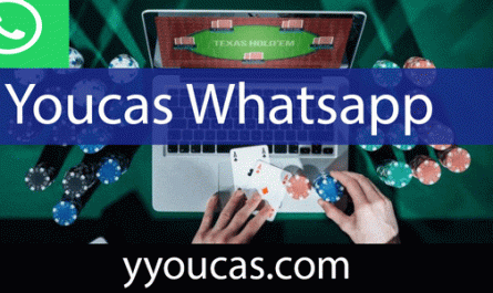 Youcas whatsapp yardımını güvenle takdim etmektedir.